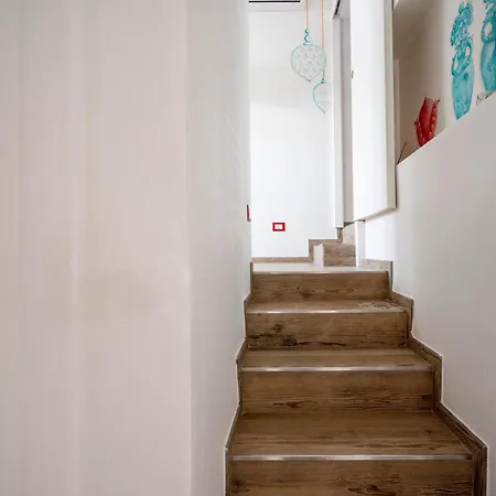 Gufo Di Mare - Rosso *